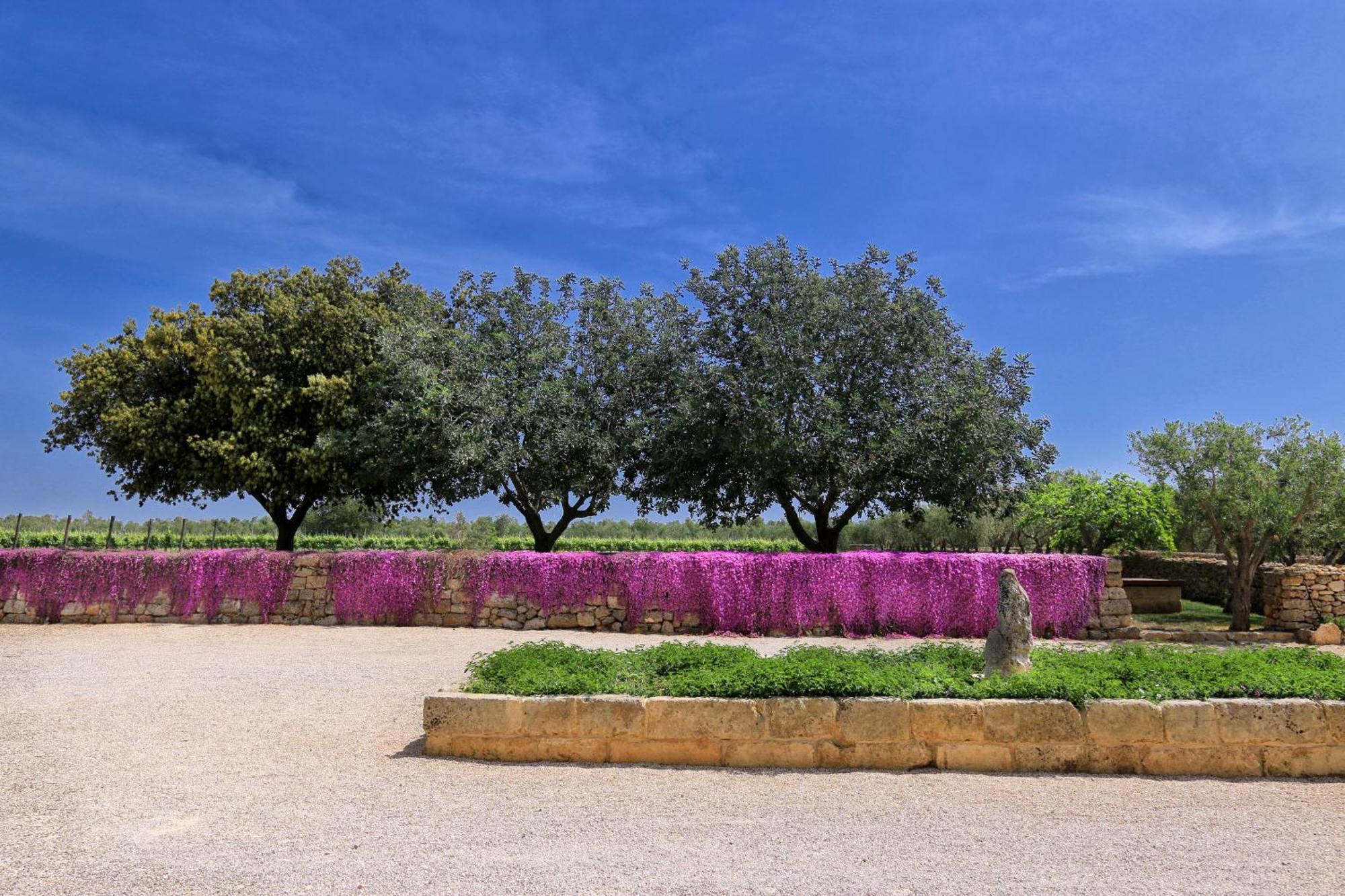 Masseria Fano Relais & Wine 살베 외부 사진